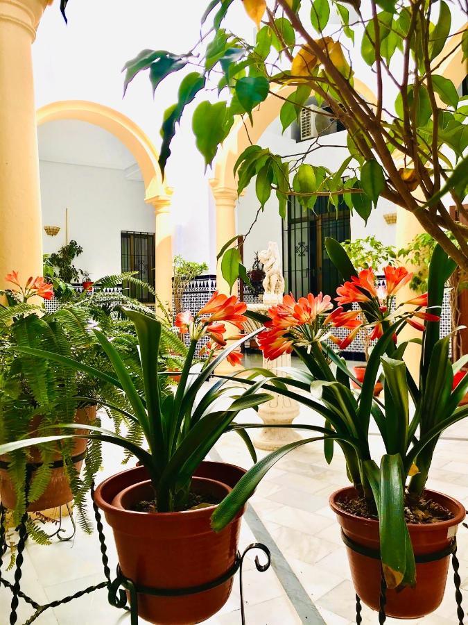 Fabuloso Loft En Centro Historico De Cordoba Con Parking Bajo Reserva Tendillas Mezquita-Catedral Exterior foto